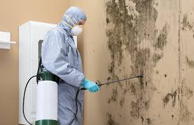 Mold Odor Removal Services in Shell Kno, MO